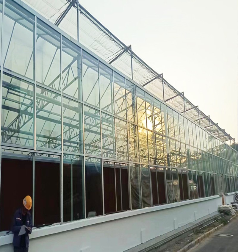 Fengzhiyuan Greenhouse
