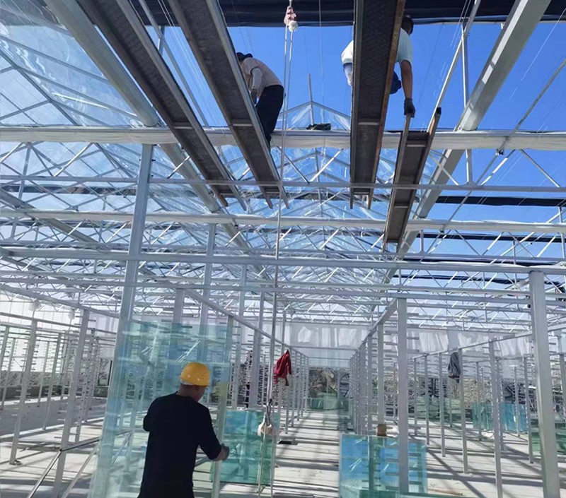 Fengzhiyuan Greenhouse