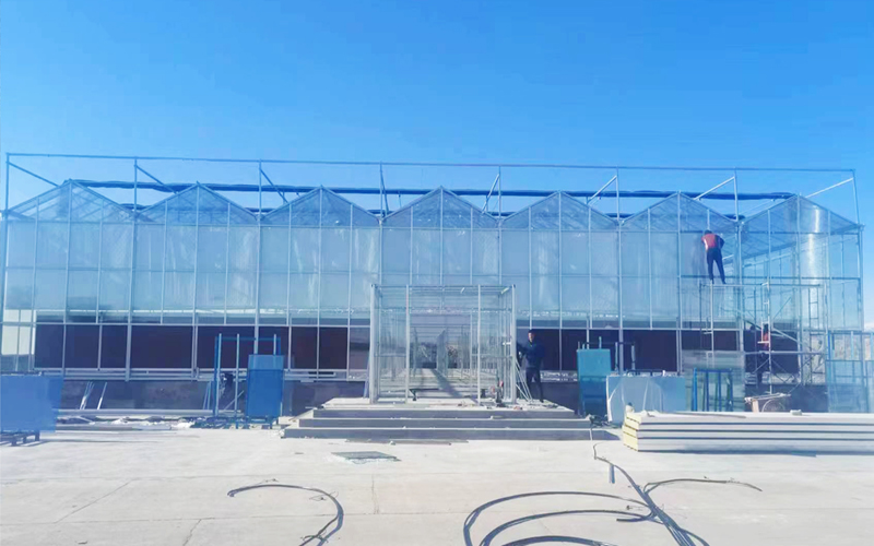 Fengzhiyuan Greenhouse