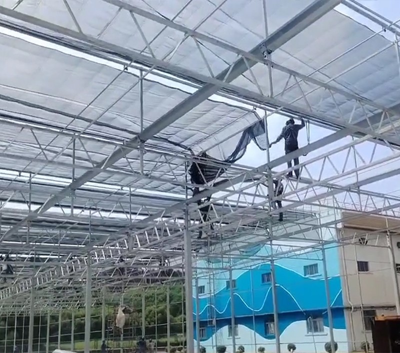 Fengzhiyuan Greenhouse
