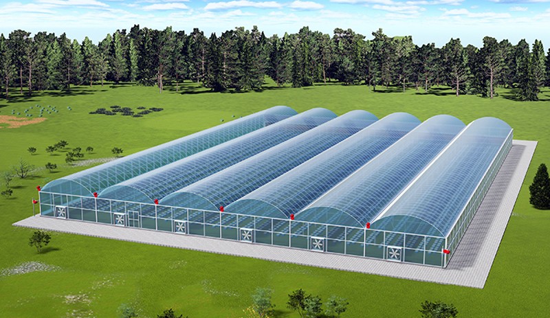 Fengzhiyuan Greenhouse