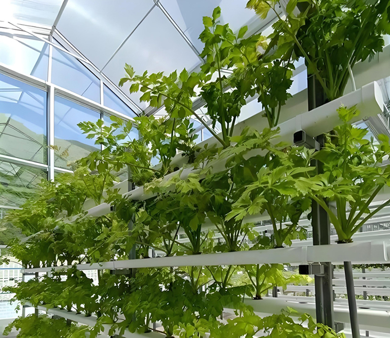 种植温室