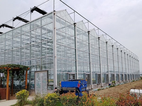 UAE Glass Greenhouse